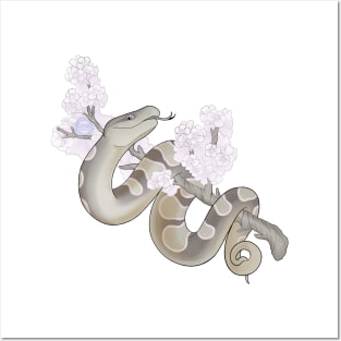 White Sakura Ball Python: Pewter Posters and Art